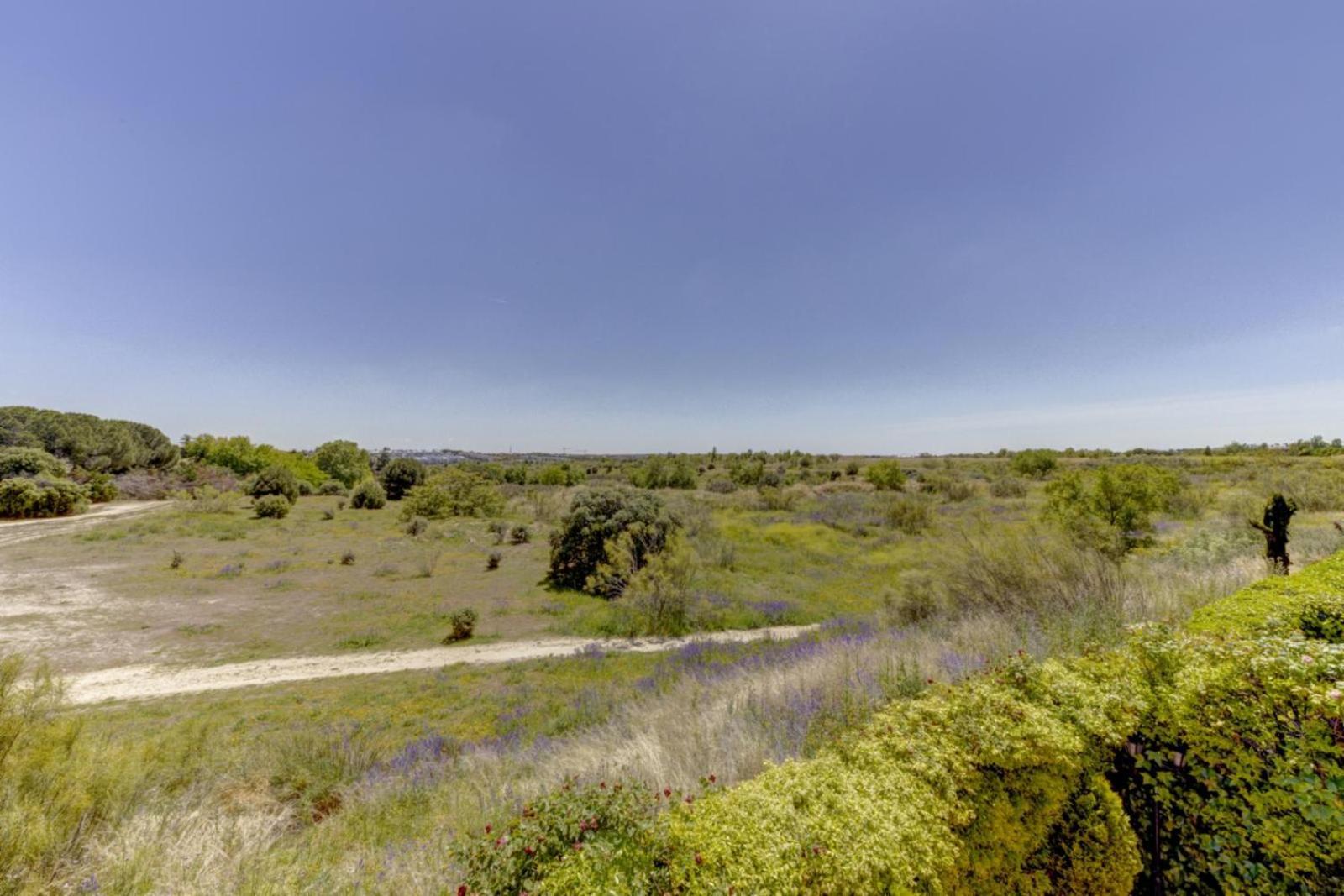 El Palomar Apartment Madrid Ngoại thất bức ảnh